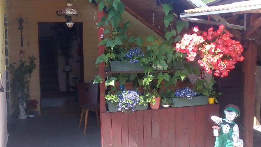 Hotel U Tri Kocek à Jablonné v Podještědí Extérieur photo